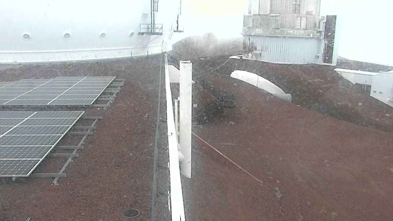 Snapshot from 2026_04_07_16_35.webp