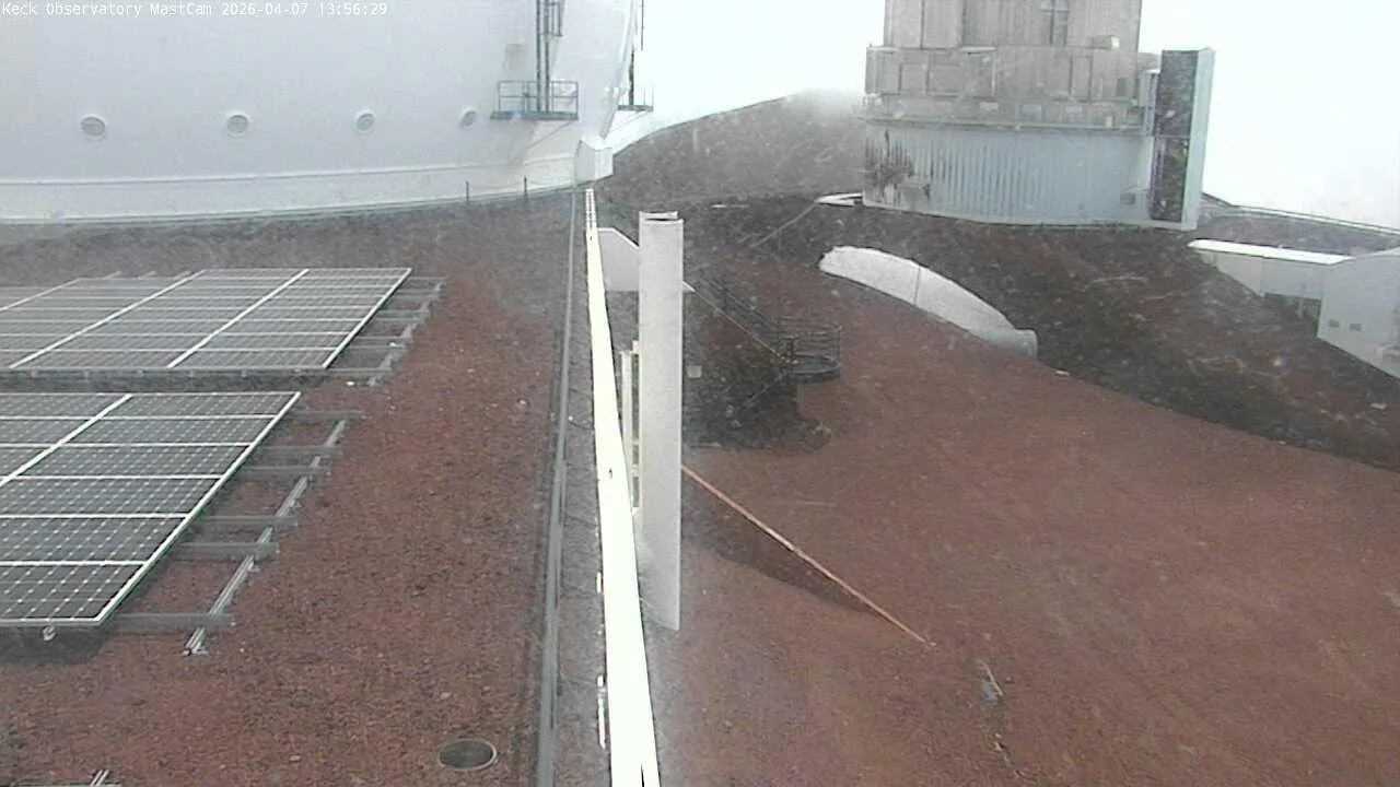 Snapshot from 2026_04_07_16_57.webp