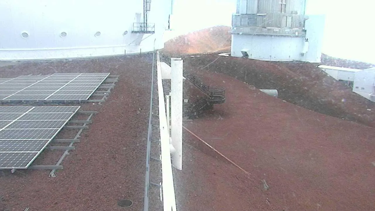 Snapshot from 2026_08_03_15_59.webp