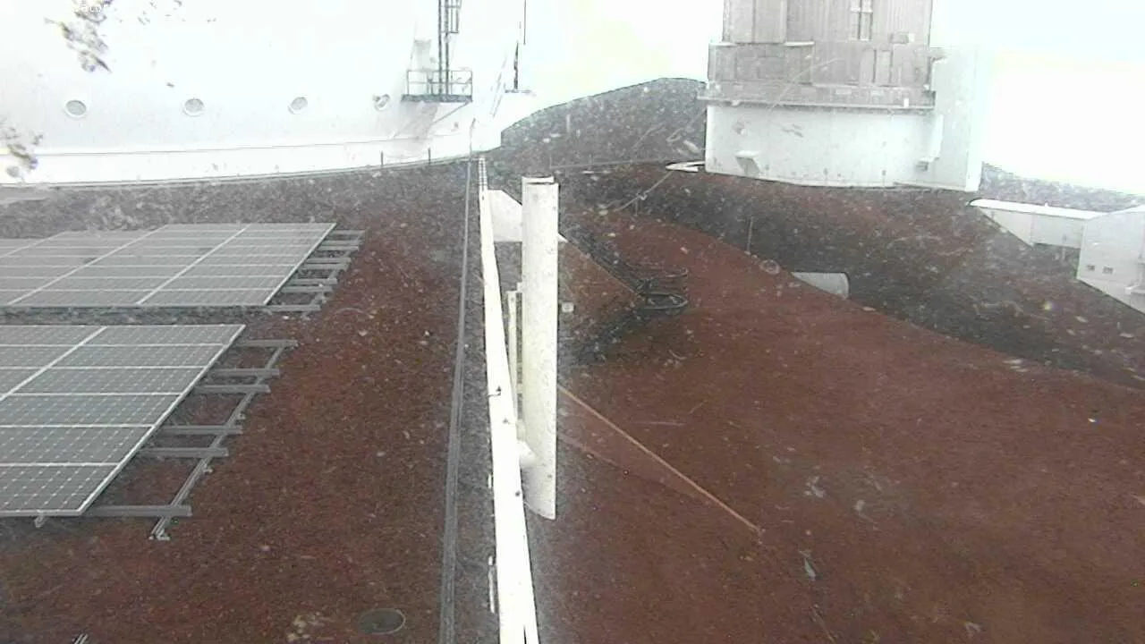 Snapshot from 2026_09_17_12_34.webp
