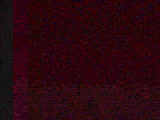 Snapshot from 2026_08_04_06_25.webp
