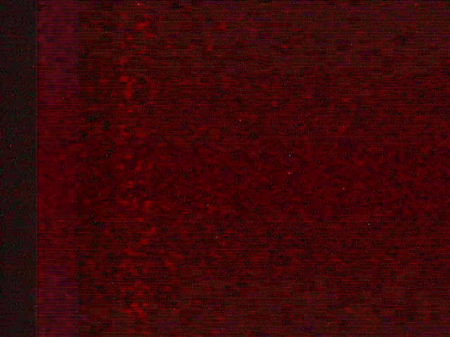 Snapshot from 2026_09_16_23_10.webp
