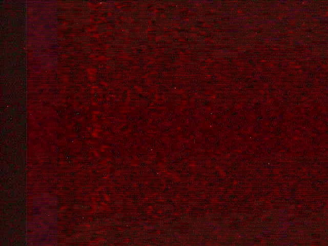 Snapshot from 2026_09_17_04_45.webp