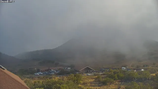 Snapshot from 2026_08_03_20_44.webp