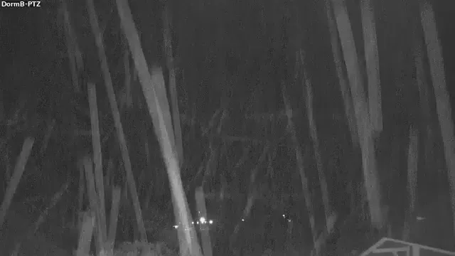 Snapshot from 2026_09_17_04_45.webp