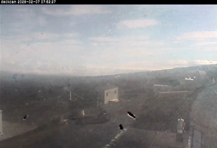 Snapshot from 2026_02_07_10_55.webp