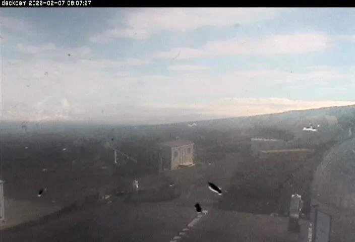 Snapshot from 2026_02_07_11_09.webp