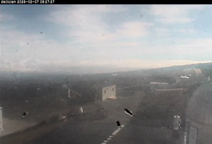 Snapshot from 2026_02_07_11_31.webp