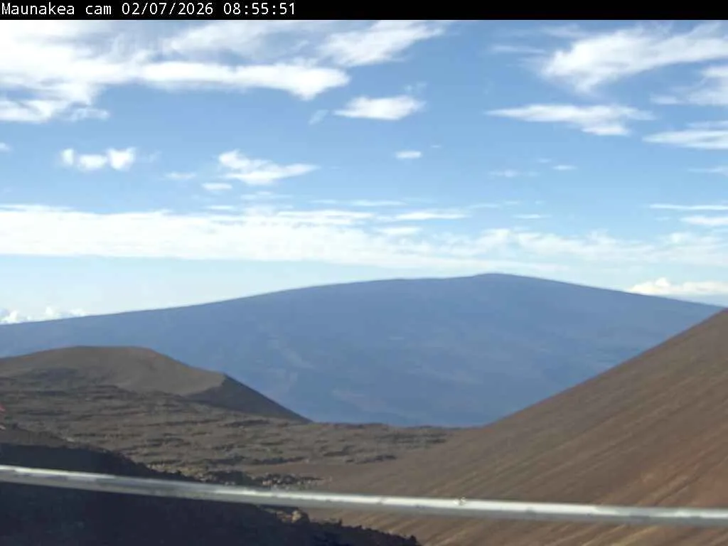 Snapshot from 2026_02_07_11_09.webp