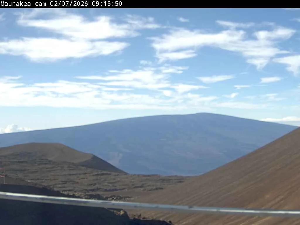 Snapshot from 2026_02_07_11_31.webp