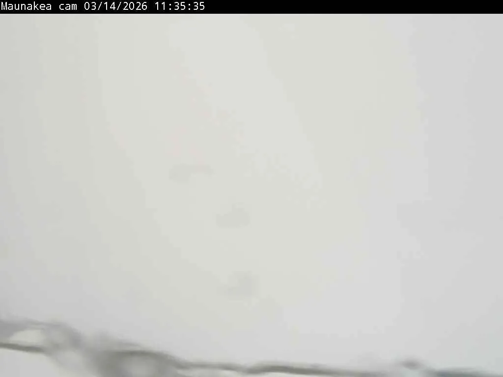 Snapshot from 2026_03_14_14_50.webp