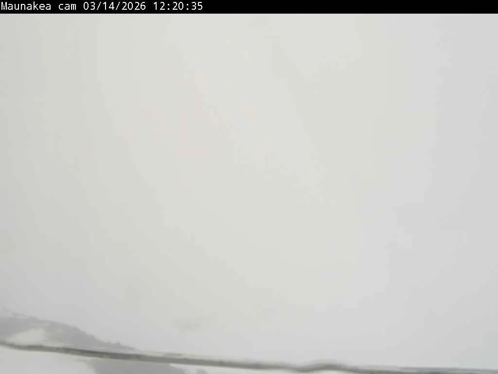 Snapshot from 2026_03_14_15_33.webp