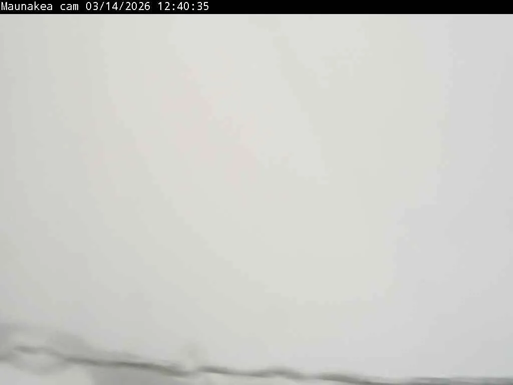 Snapshot from 2026_03_14_15_51.webp