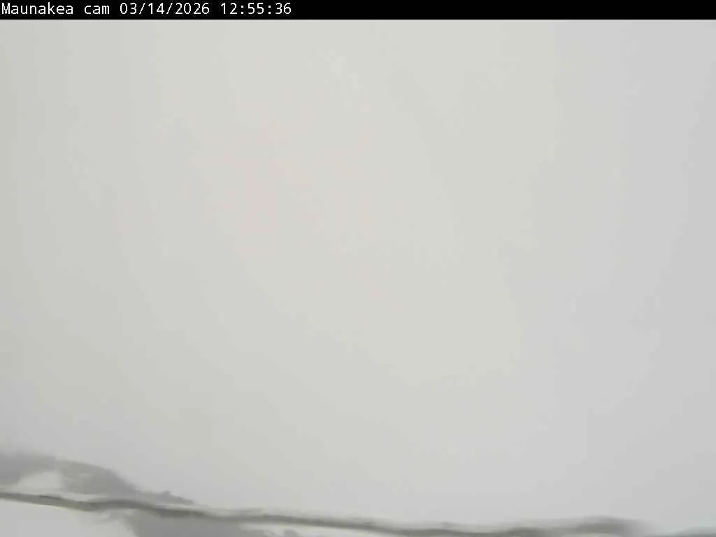 Snapshot from 2026_03_14_16_08.webp