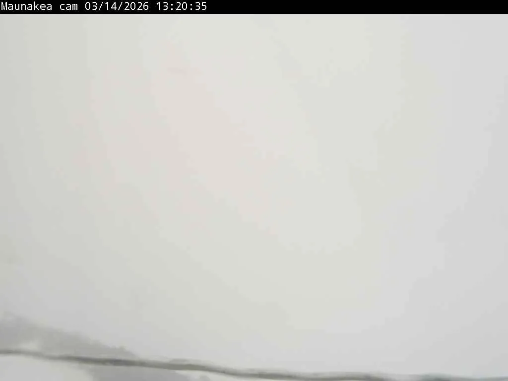 Snapshot from 2026_03_14_16_32.webp