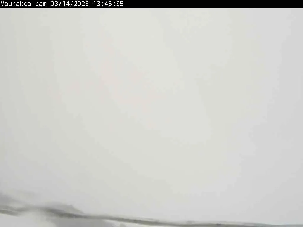 Snapshot from 2026_03_14_16_50.webp