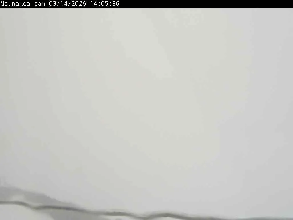 Snapshot from 2026_03_14_17_20.webp