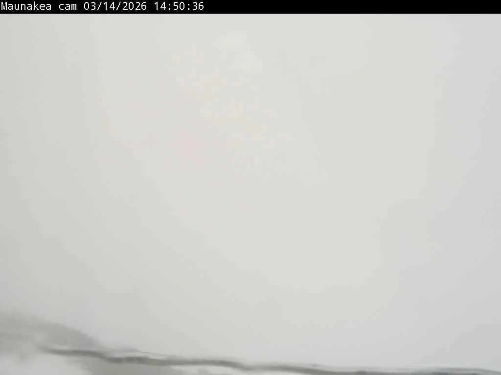 Snapshot from 2026_03_14_18_02.webp