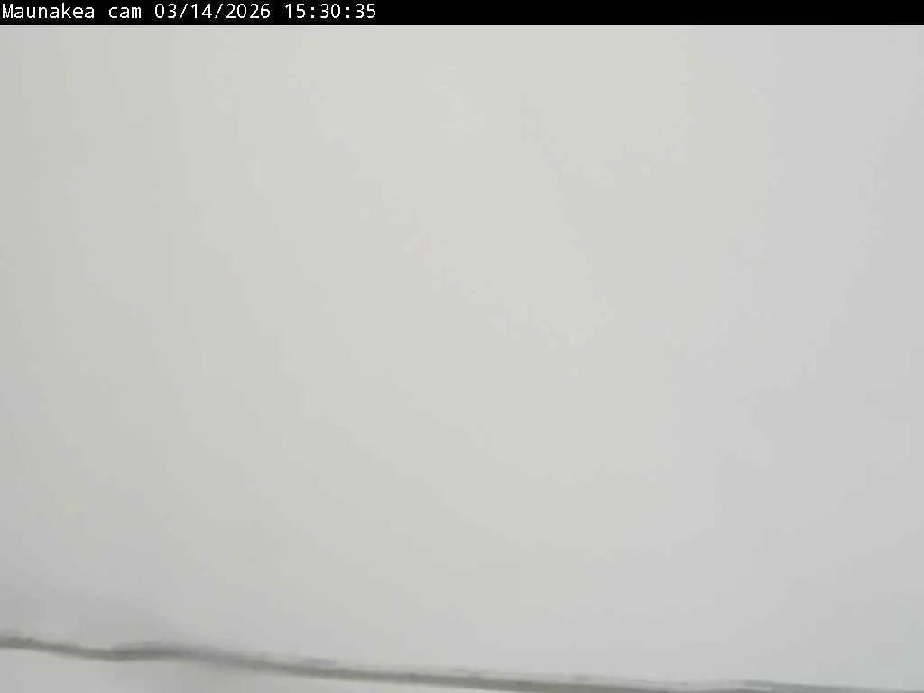 Snapshot from 2026_03_14_18_46.webp