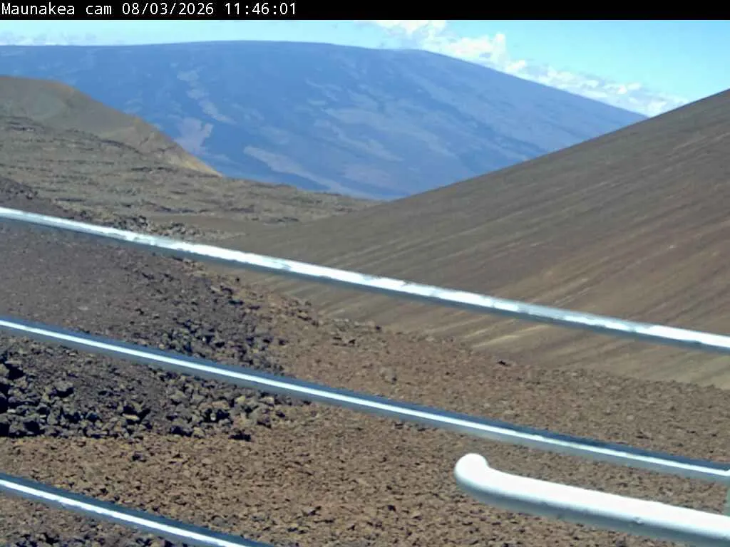 Snapshot from 2026_08_03_14_49.webp