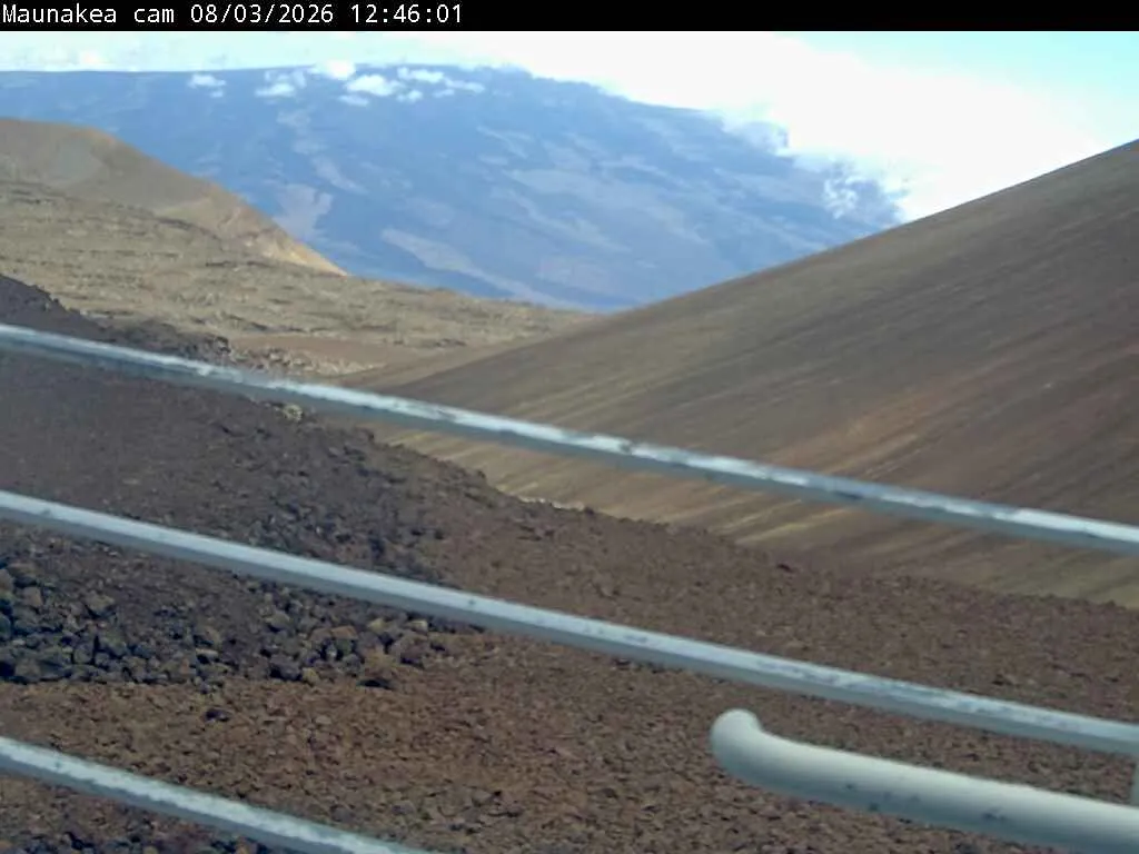 Snapshot from 2026_08_03_15_59.webp