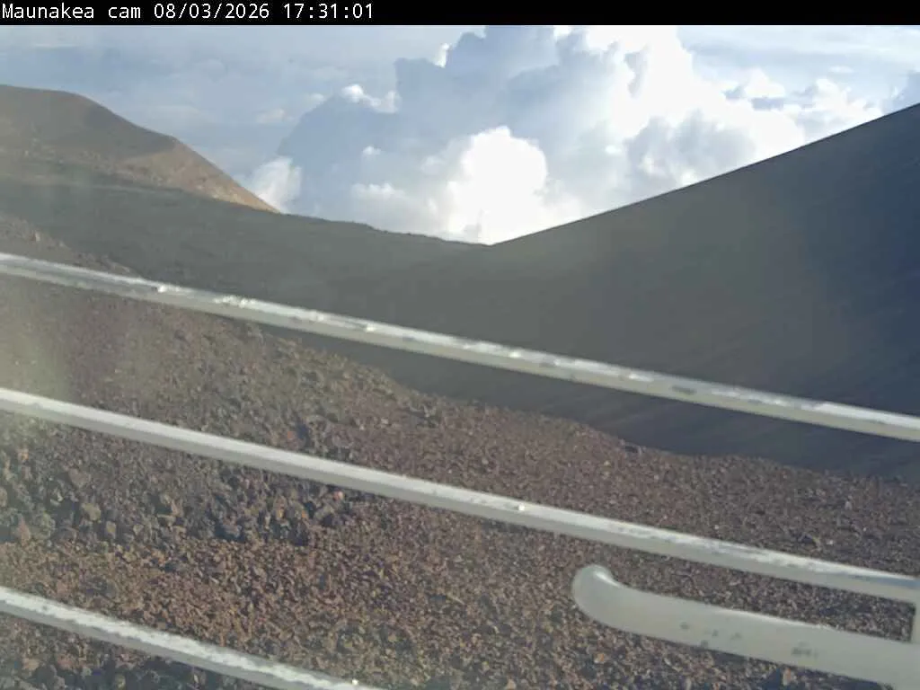 Snapshot from 2026_08_03_20_44.webp