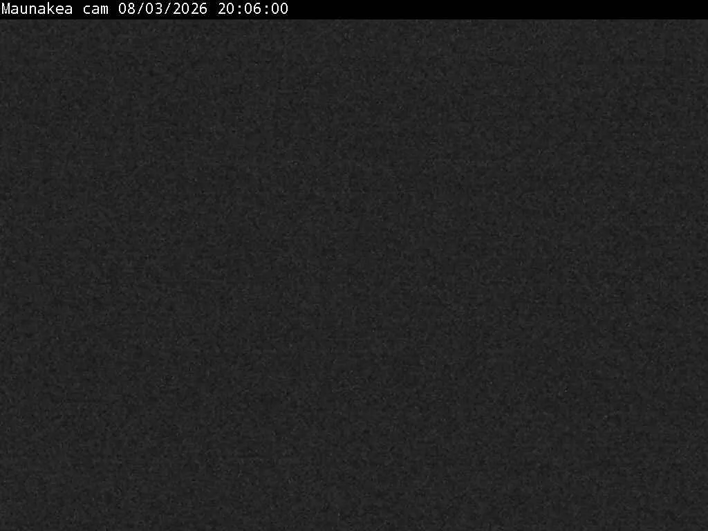 Snapshot from 2026_08_03_23_20.webp
