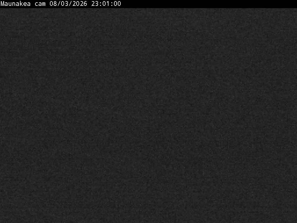 Snapshot from 2026_08_04_02_15.webp