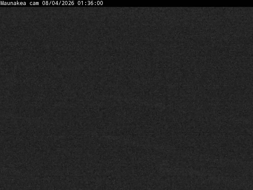 Snapshot from 2026_08_04_04_39.webp