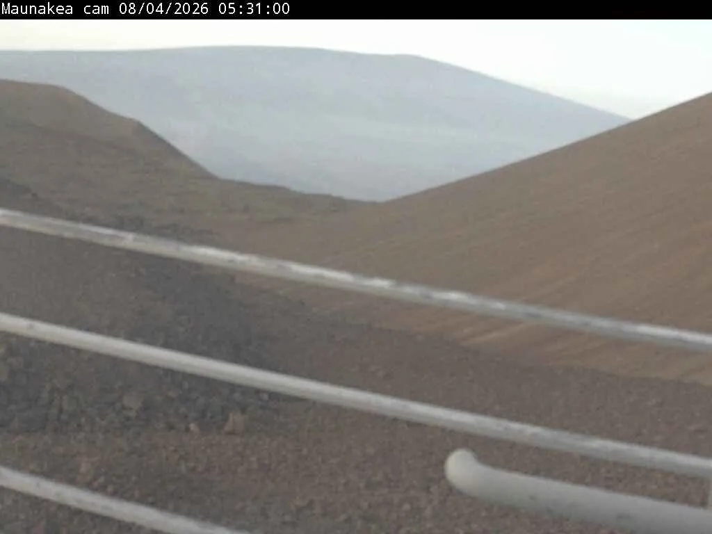 Snapshot from 2026_08_04_08_47.webp