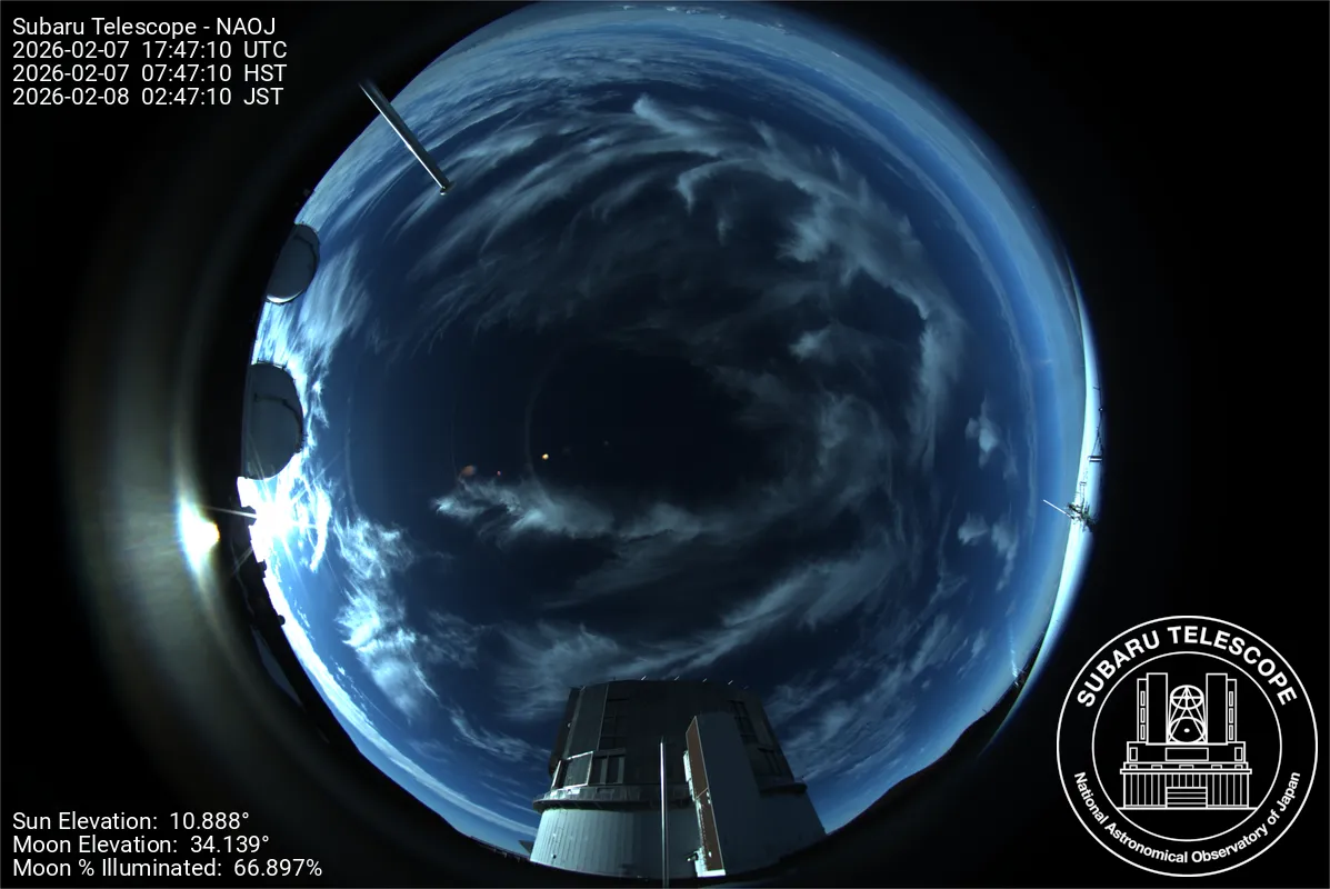 Snapshot from 2026_02_07_09_49.webp