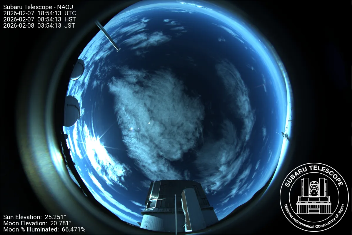 Snapshot from 2026_02_07_10_55.webp