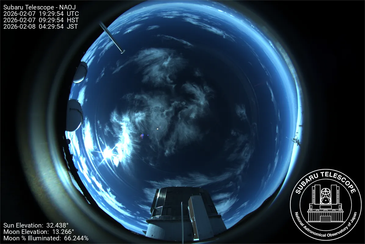 Snapshot from 2026_02_07_11_31.webp