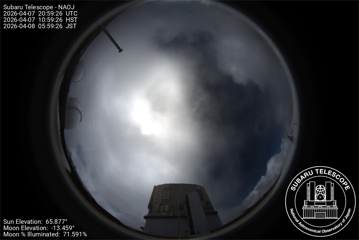 Snapshot from 2026_04_07_14_01.webp