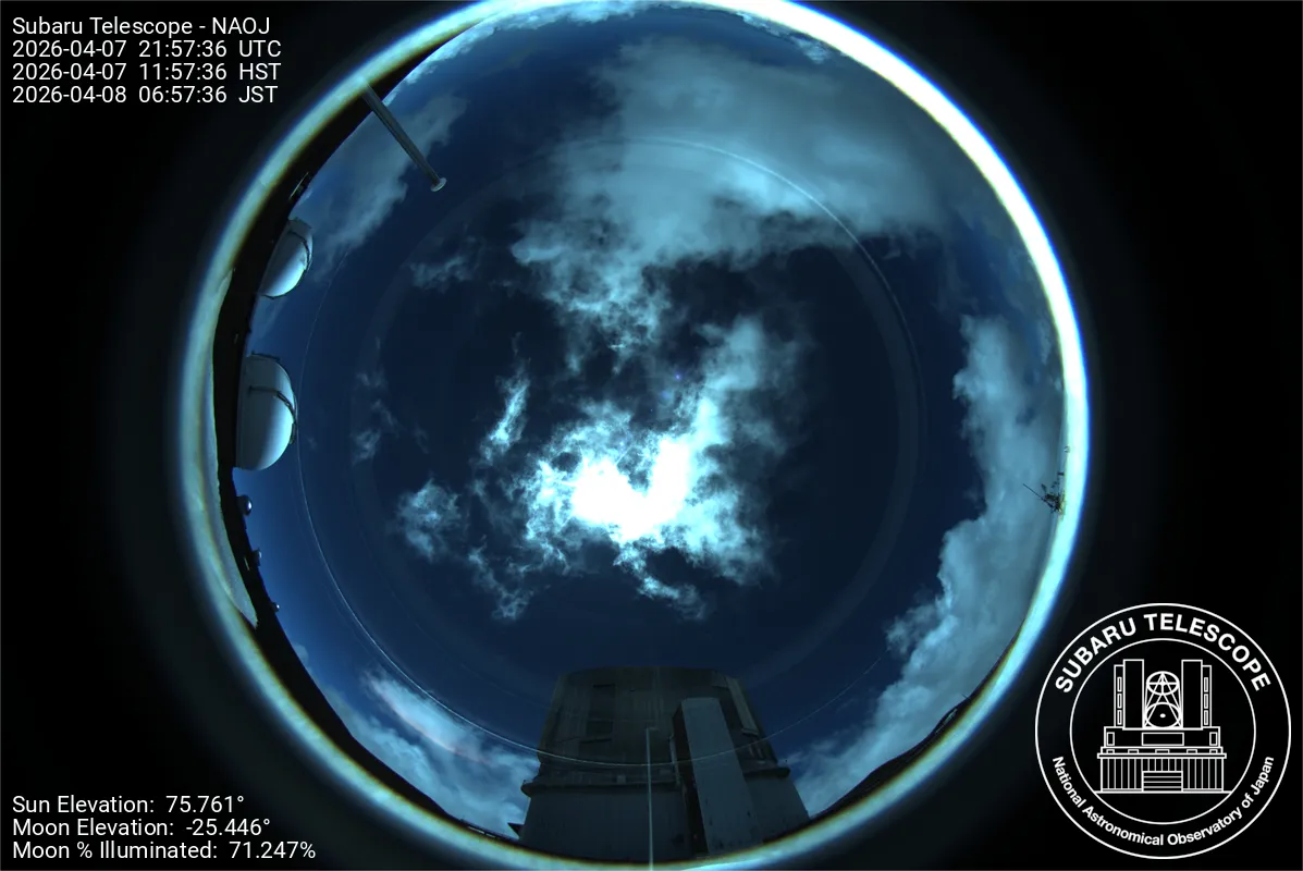 Snapshot from 2026_04_07_14_58.webp