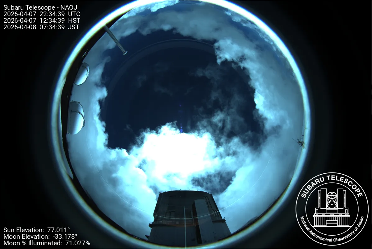 Snapshot from 2026_04_07_15_35.webp