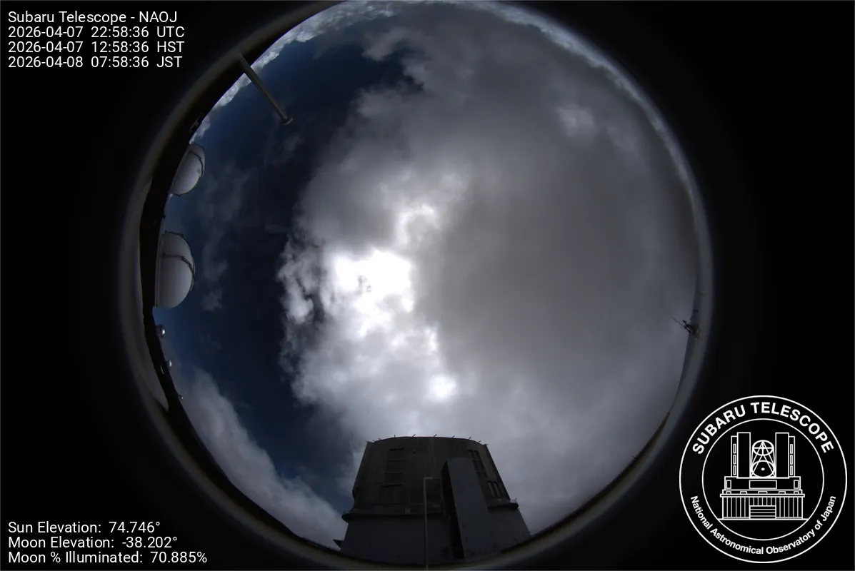 Snapshot from 2026_04_07_15_59.webp