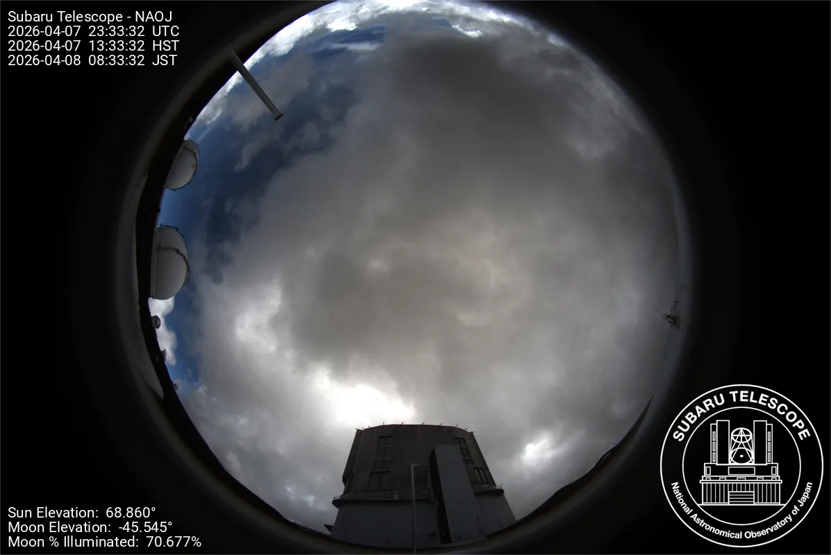 Snapshot from 2026_04_07_16_35.webp