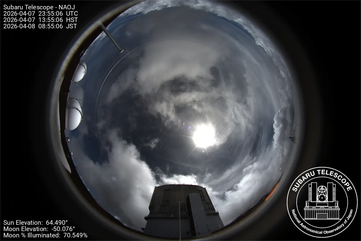 Snapshot from 2026_04_07_16_57.webp