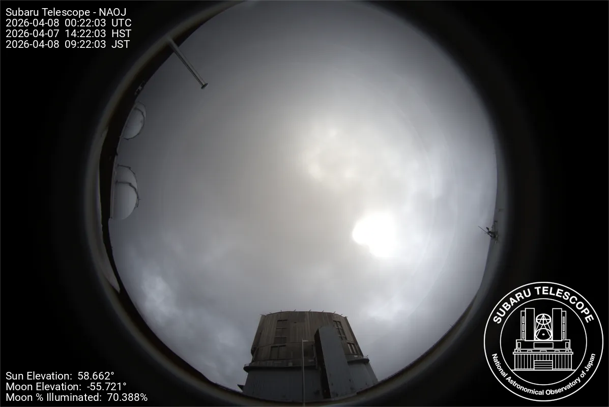 Snapshot from 2026_04_07_17_23.webp