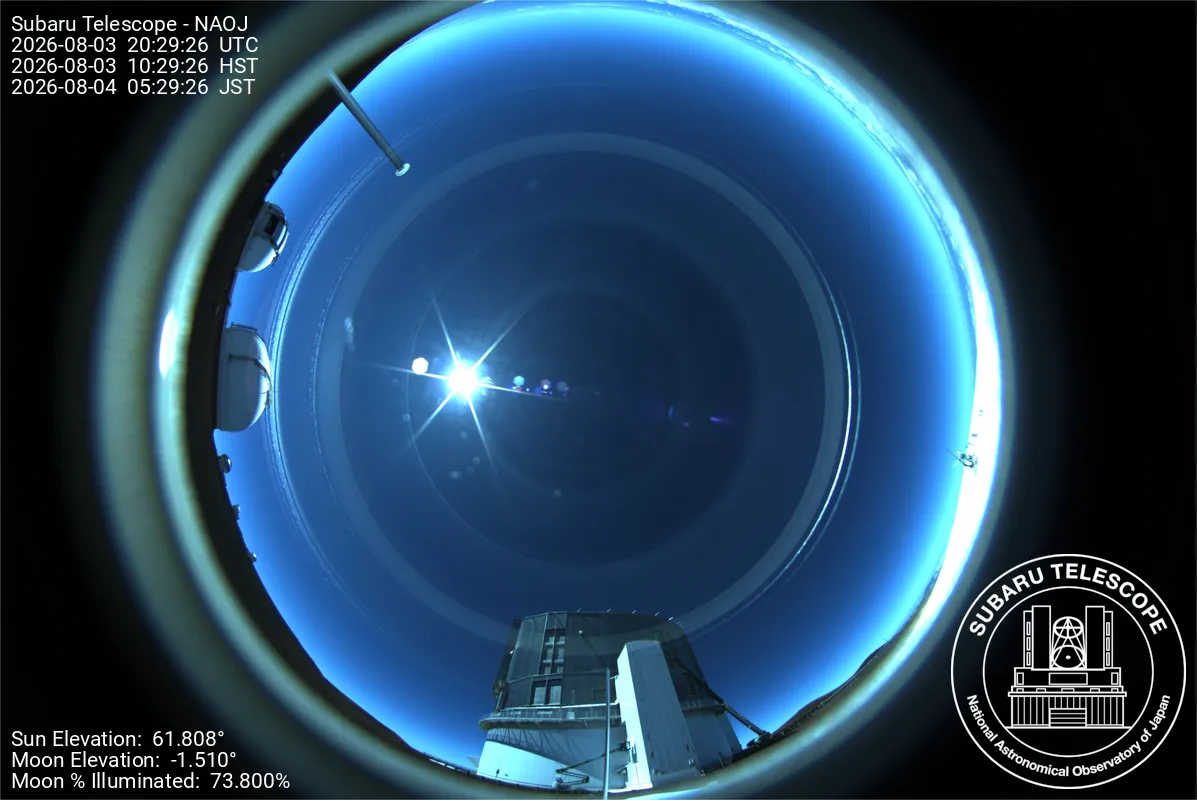 Snapshot from 2026_08_03_13_31.webp