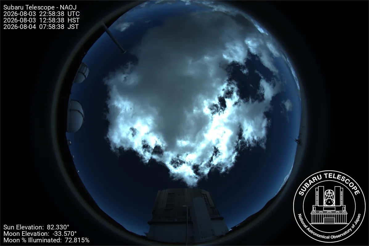 Snapshot from 2026_08_03_15_59.webp