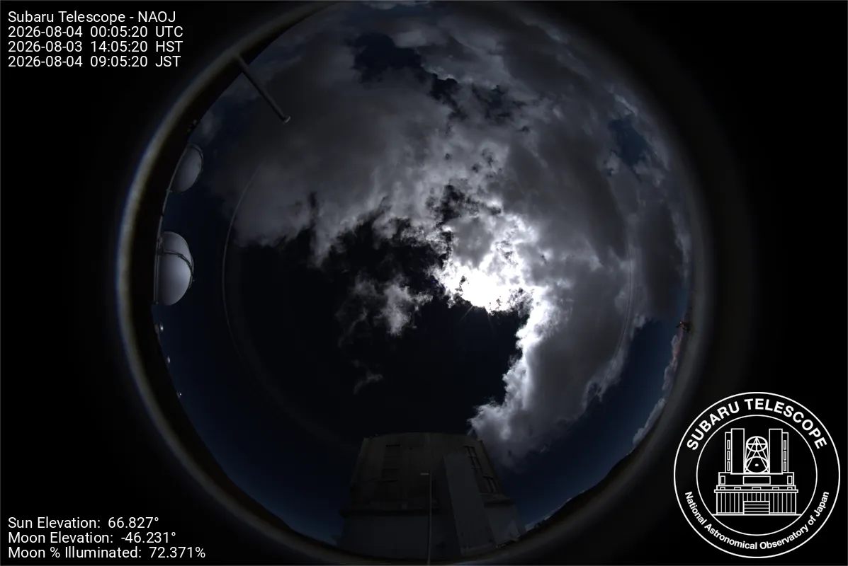 Snapshot from 2026_08_03_17_07.webp