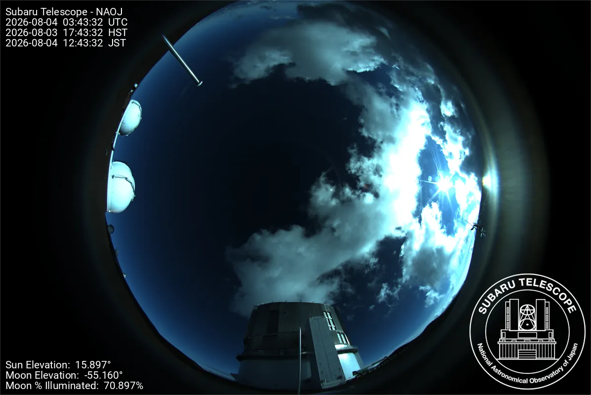 Snapshot from 2026_08_03_20_44.webp