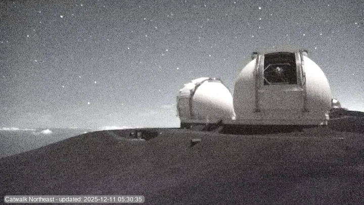 Subaru Cat Walk - NE