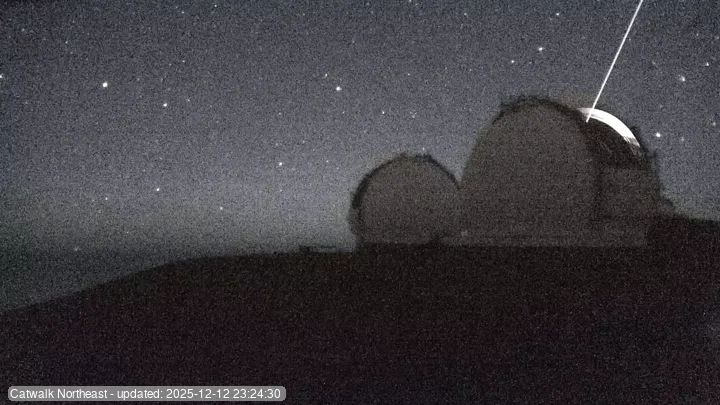 Subaru Cat Walk - NE