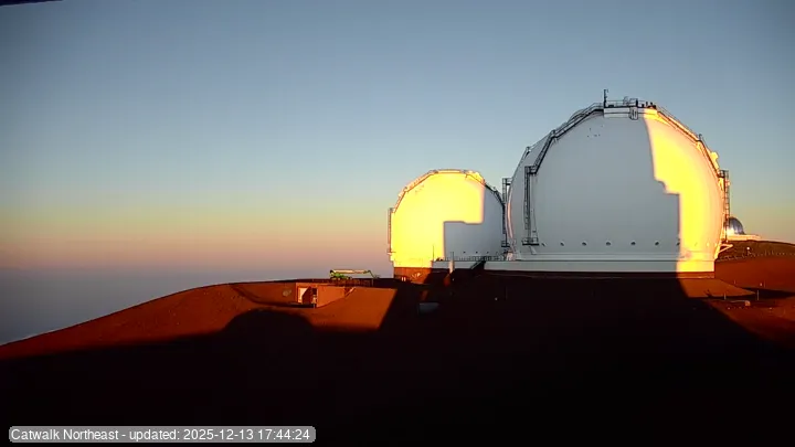 Subaru Cat Walk - NE