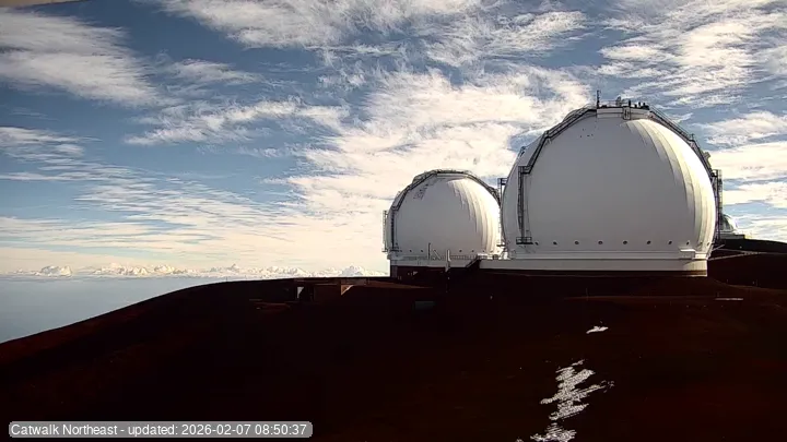 Snapshot from 2026_02_07_10_55.webp