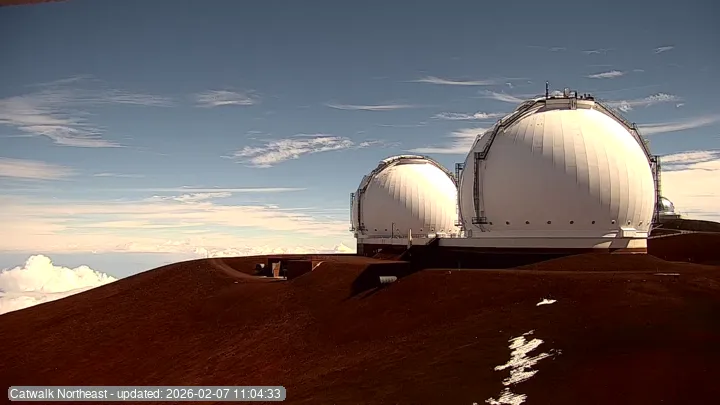 Subaru Cat Walk - NE