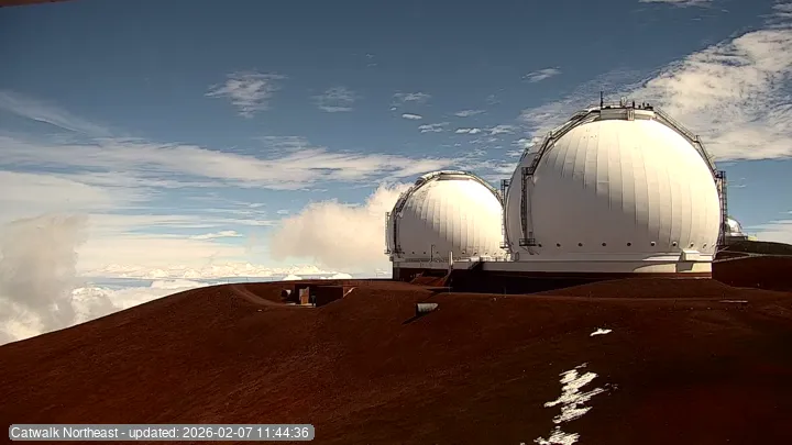 Subaru Cat Walk - NE